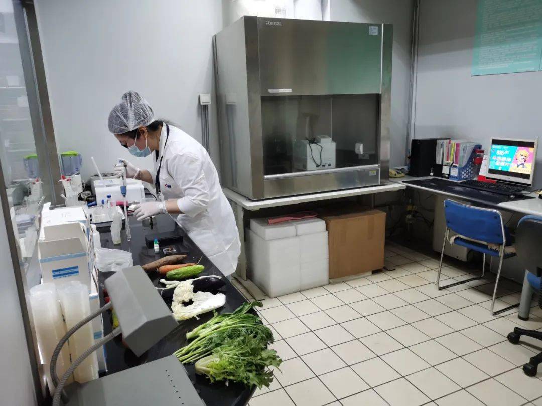 食品检测实验室装修方案